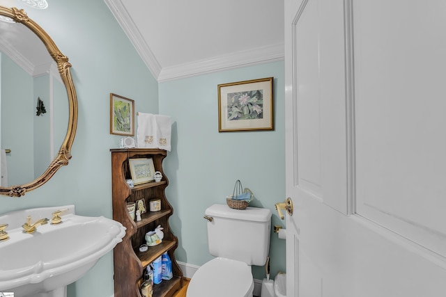 bathroom with sink, toilet, and crown molding