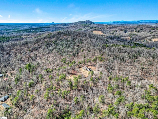 aerial view with a mountain view