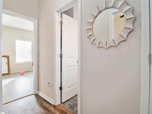 hallway featuring dark hardwood / wood-style flooring