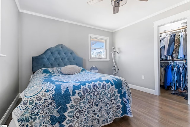 bedroom with a walk in closet, ornamental molding, a closet, ceiling fan, and wood-type flooring