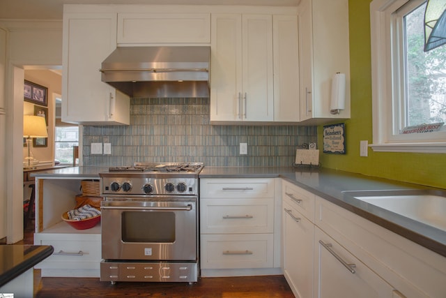 kitchen with high end stainless steel range oven, white cabinets, decorative backsplash, and ventilation hood