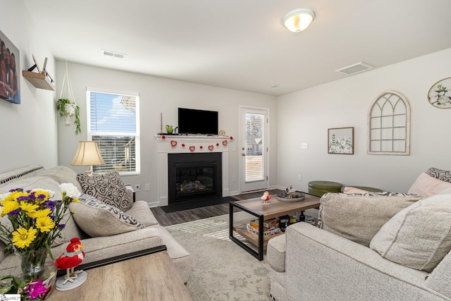 living room featuring plenty of natural light and hardwood / wood-style flooring