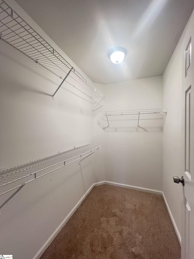 walk in closet with carpet