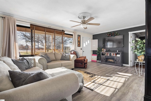 living room with wood-type flooring, ceiling fan, and crown molding