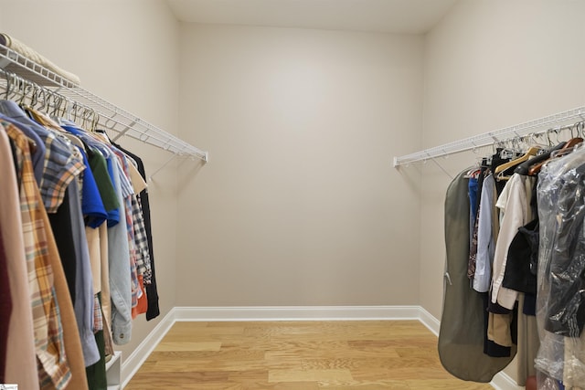 spacious closet with light wood-type flooring