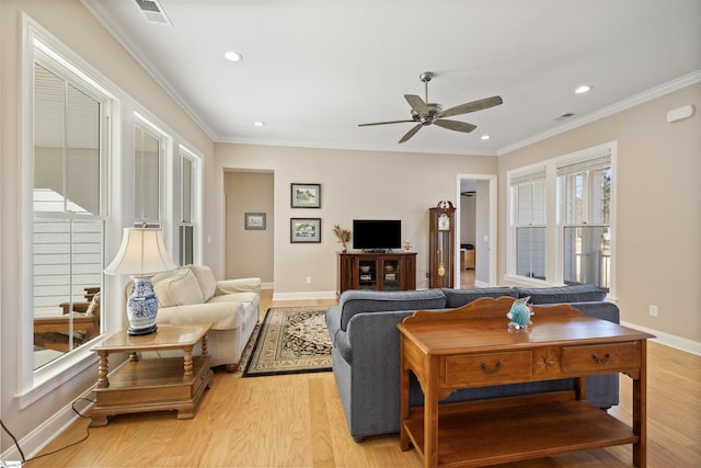 living room featuring ceiling fan, light hardwood / wood-style flooring, and crown molding