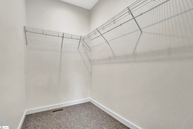 spacious closet featuring carpet