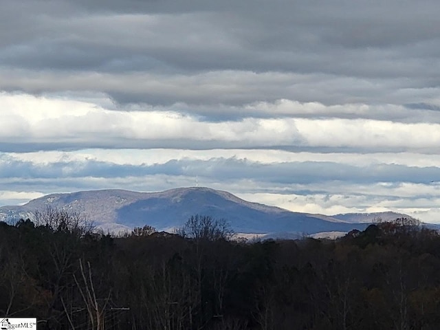 view of mountain feature