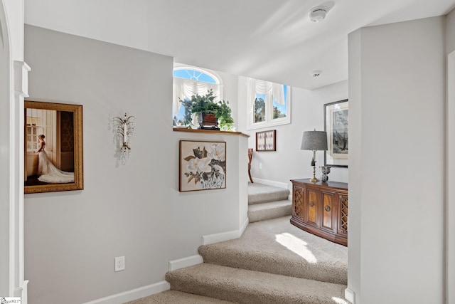 stairway with carpet flooring and baseboards