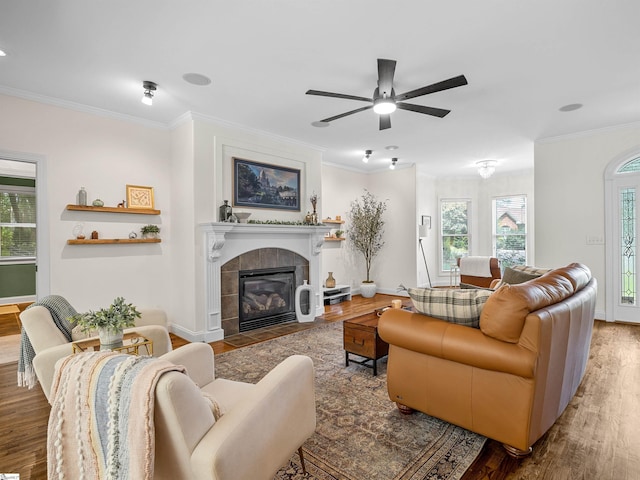 living room featuring ceiling fan, ornamental molding, a tiled fireplace, and wood finished floors