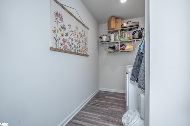 spacious closet with dark wood finished floors