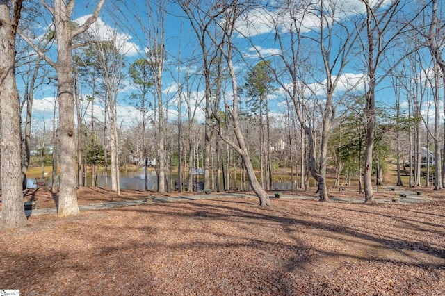 view of yard featuring a water view