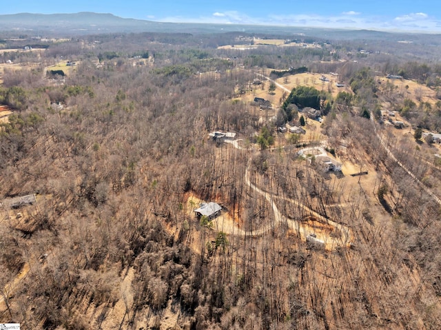 bird's eye view with a mountain view