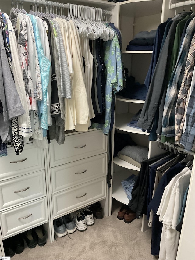 walk in closet with carpet