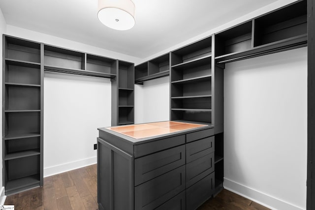 walk in closet featuring dark wood finished floors