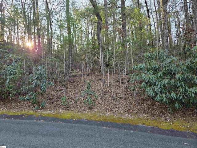 56 Cliff Ridge Dr, Cleveland SC, 29635 land for sale