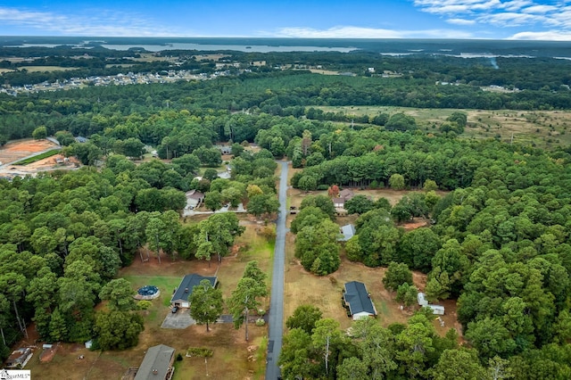 bird's eye view with a forest view