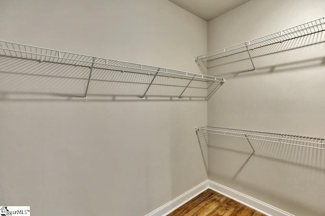 spacious closet featuring wood finished floors