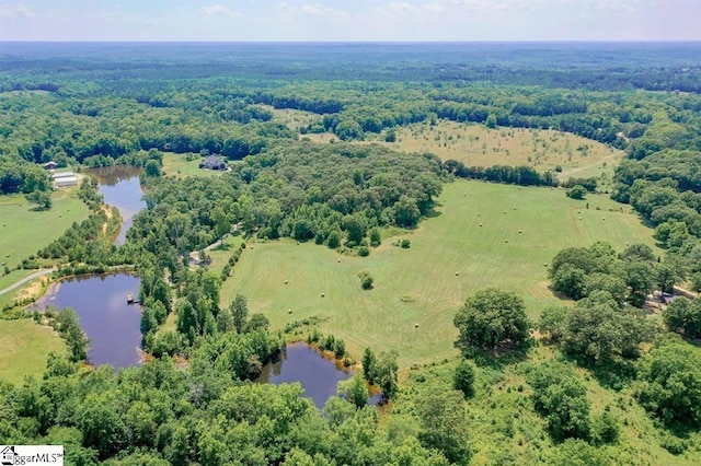 drone / aerial view with a water view and a view of trees