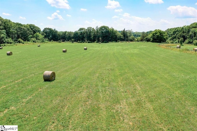 view of yard with a rural view