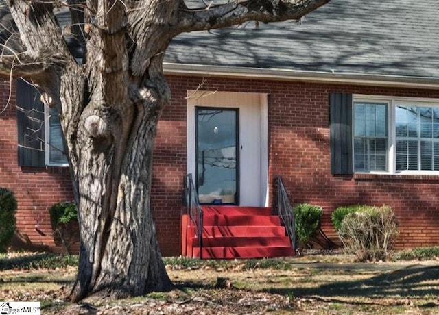 doorway to property featuring a shingled roof and brick siding