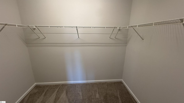 spacious closet with carpet