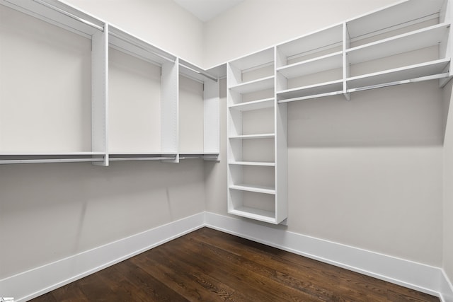 spacious closet featuring dark wood-style floors