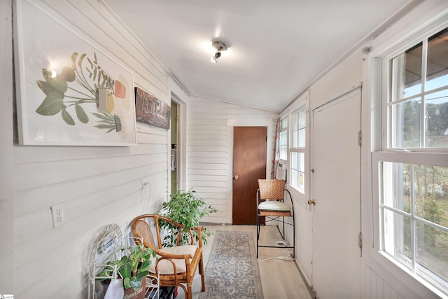 interior space with lofted ceiling, light wood-type flooring, and a wealth of natural light