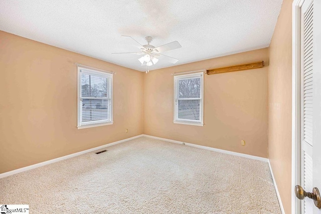 spare room featuring carpet floors, a textured ceiling, baseboards, and a wealth of natural light