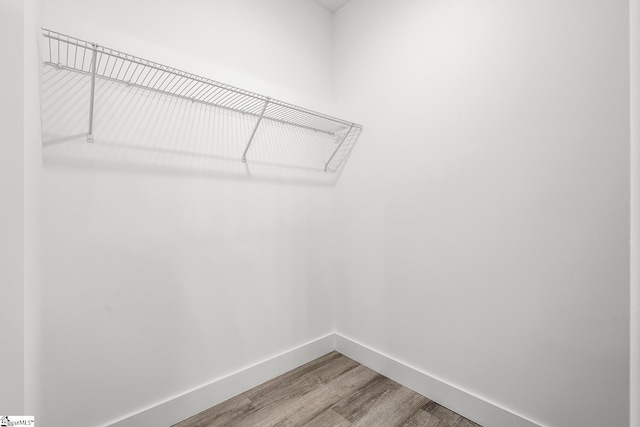 walk in closet featuring wood finished floors