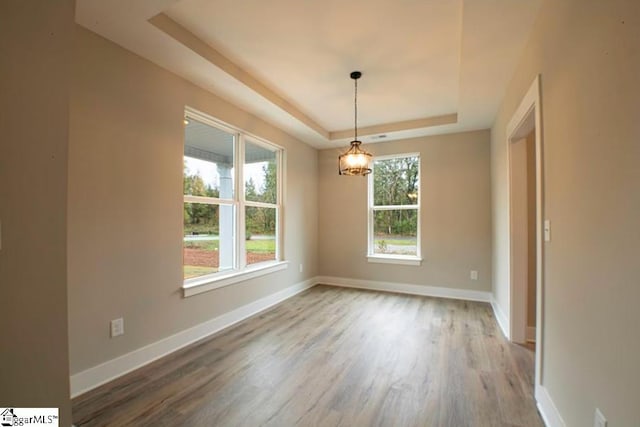 spare room with a tray ceiling, a healthy amount of sunlight, and baseboards