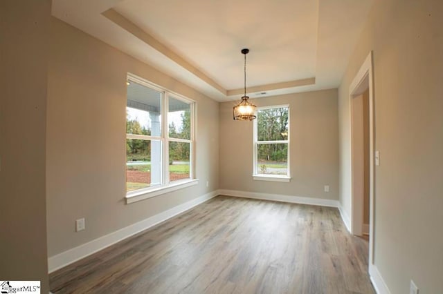 unfurnished dining area with a raised ceiling, a healthy amount of sunlight, and baseboards