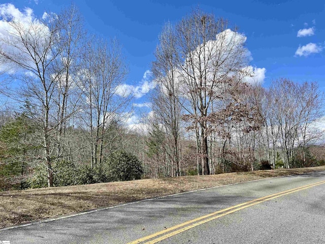 760 Blue Bonnet Trl, Marietta, SC 29661