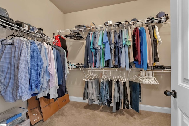 spacious closet featuring carpet floors