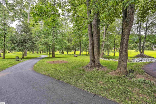 view of community with driveway and a yard