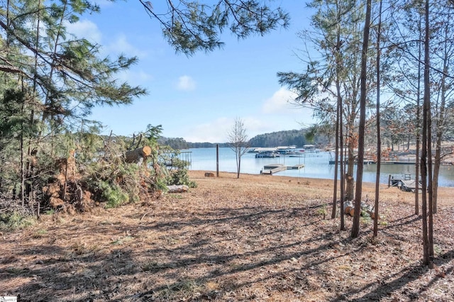 water view with a boat dock