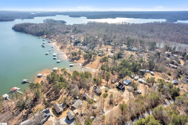 bird's eye view with a water view and a wooded view