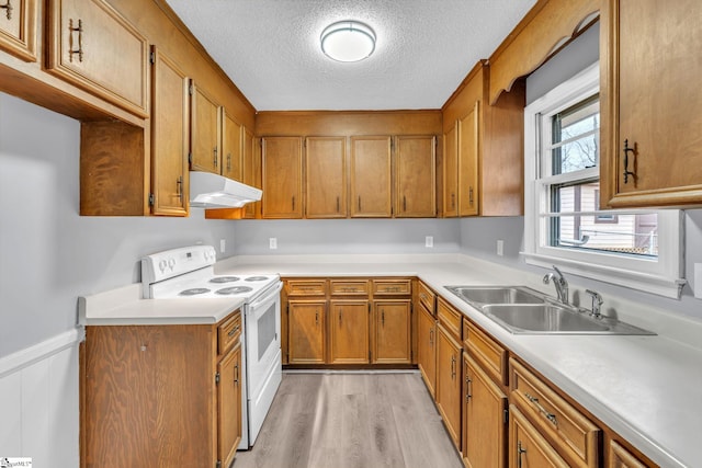 kitchen with electric stove, light countertops, brown cabinetry, a sink, and under cabinet range hood