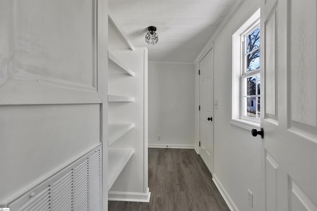 walk in closet with dark wood finished floors