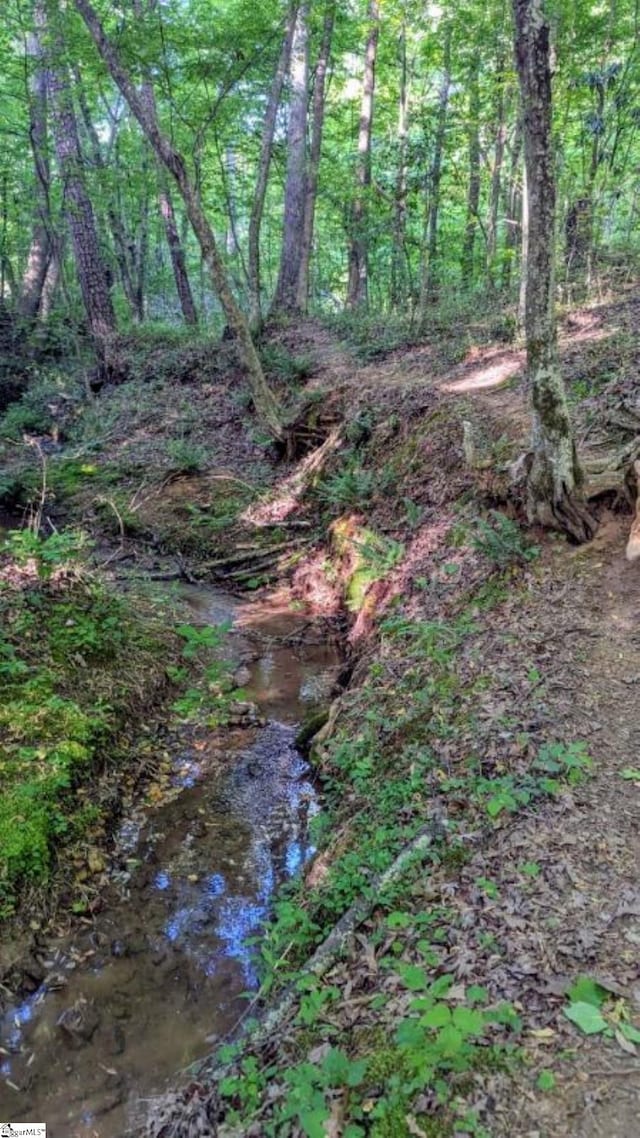 view of local wilderness featuring a view of trees