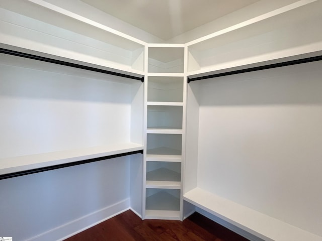 spacious closet featuring dark wood-type flooring