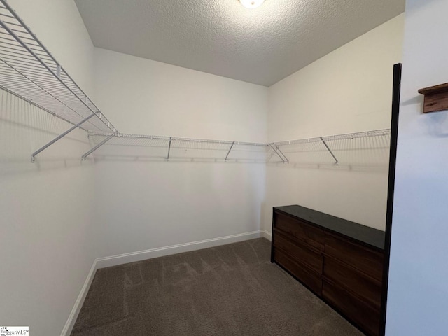 spacious closet with dark colored carpet