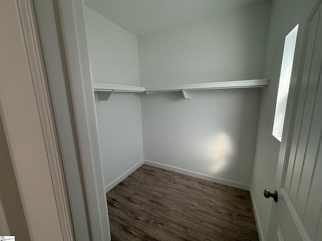 walk in closet with dark wood-style floors