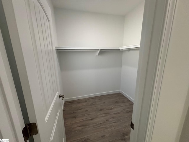 spacious closet featuring dark wood-style floors