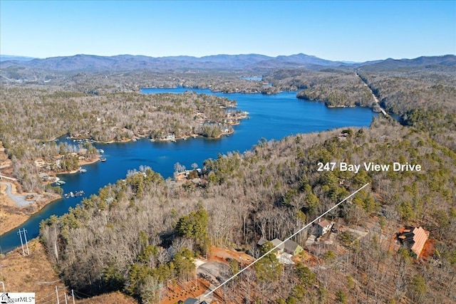 birds eye view of property featuring a water and mountain view