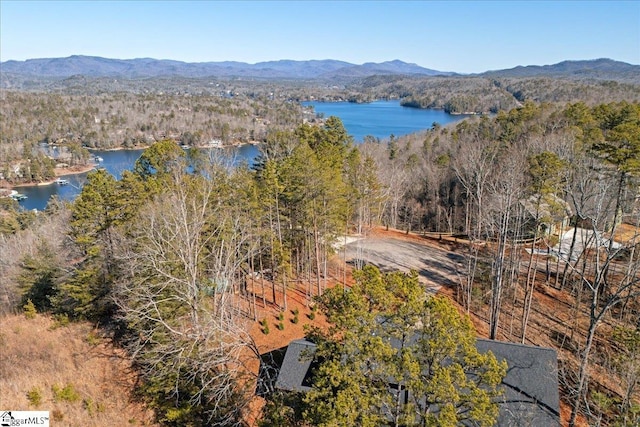 bird's eye view with a water and mountain view