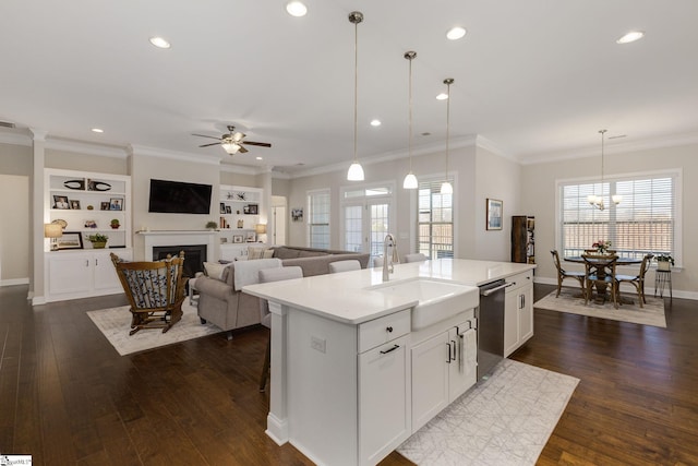 kitchen featuring dark wood-type flooring, a fireplace, a sink, and dishwasher