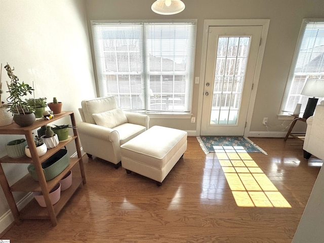 entryway with baseboards and wood finished floors