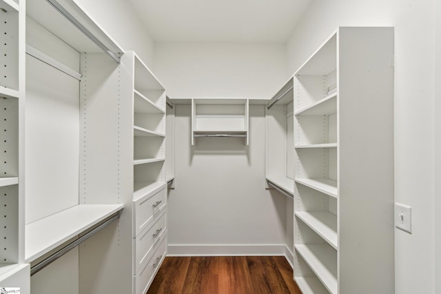 spacious closet with dark wood-style flooring