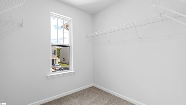 104 Sunriff Ct, Greer, SC 29651 - walk in closet with carpet flooring